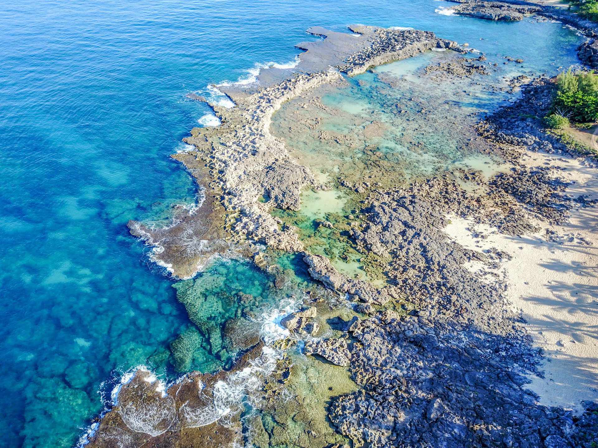 Shark's Cove