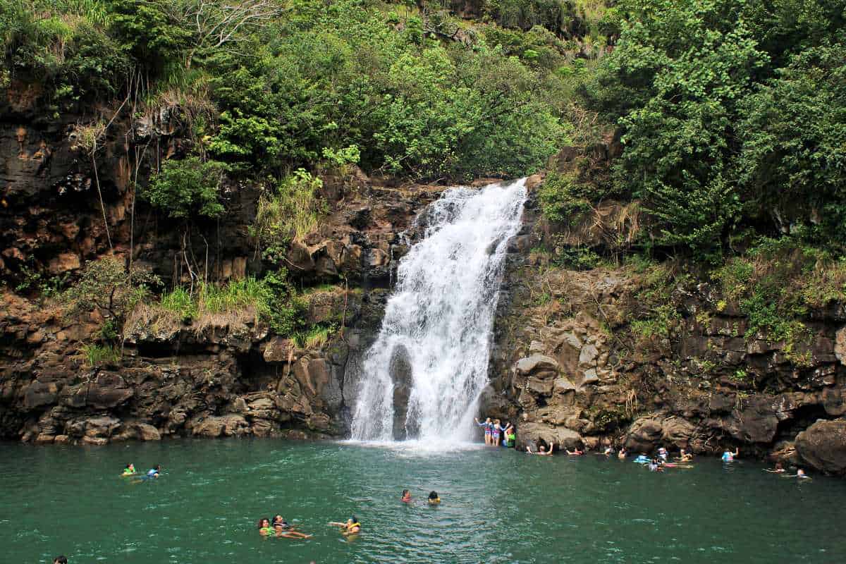Oahu Circle Island Tour With Waimea Valley Waterfall