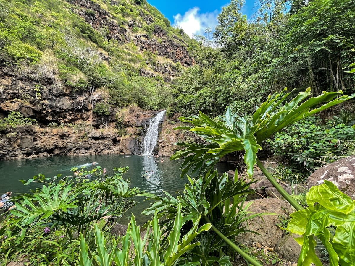 Waterfall Hike