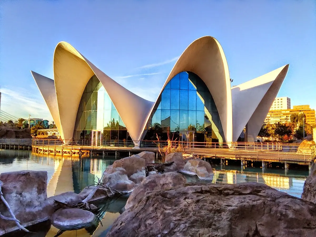 The Red Sea Auditorium