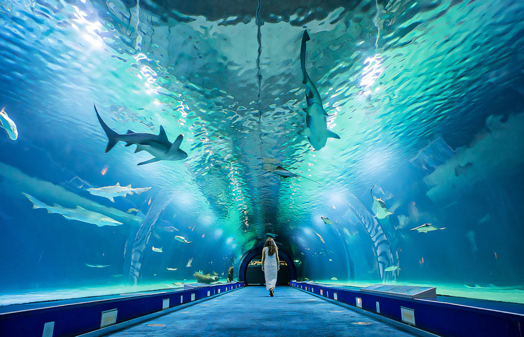 Valencia Oceanografic Tickets