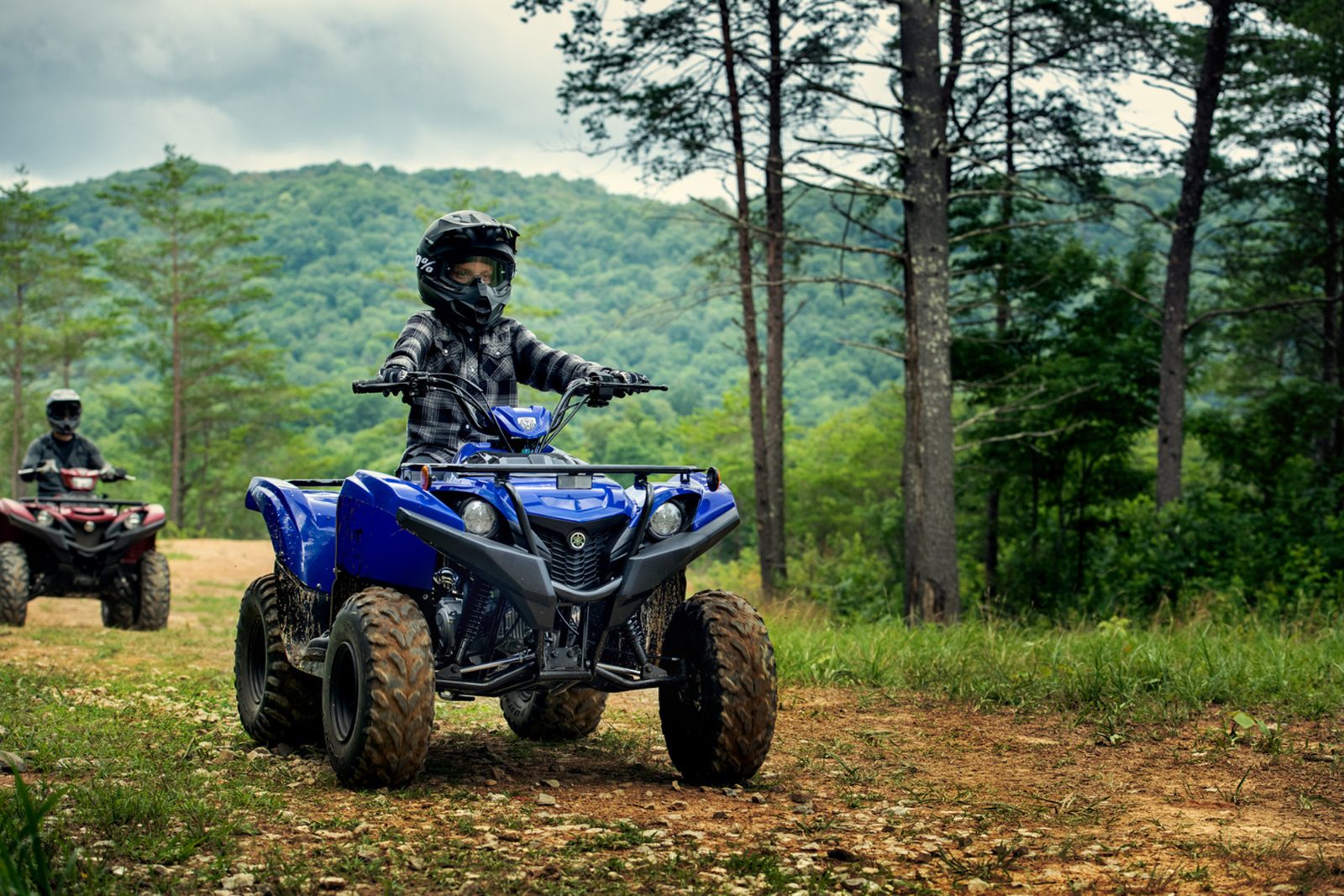 Yamaha Grizzly ATVs