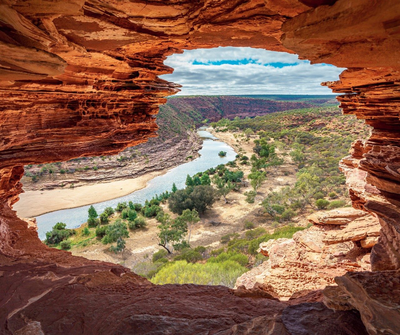 Nature's Window
