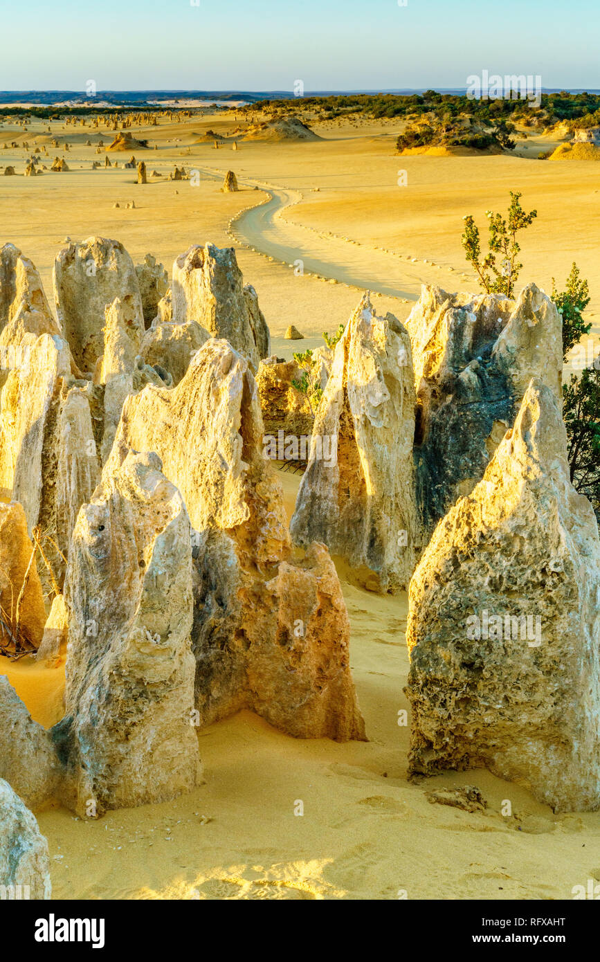 The Pinnacles Desert