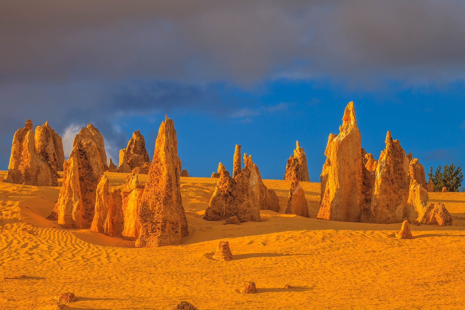 The Pinnacles Desert