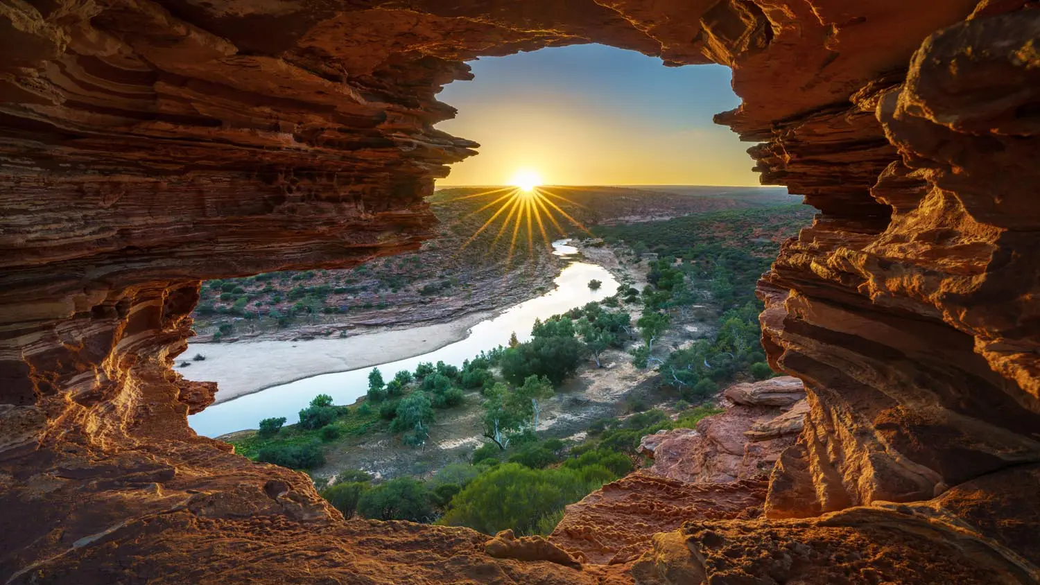 Nature's Window