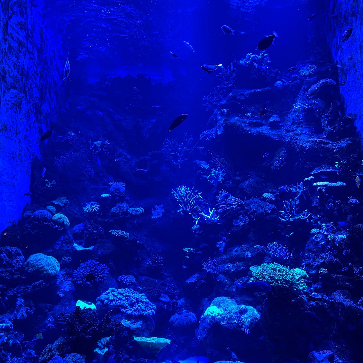 Ningaloo Aquarium