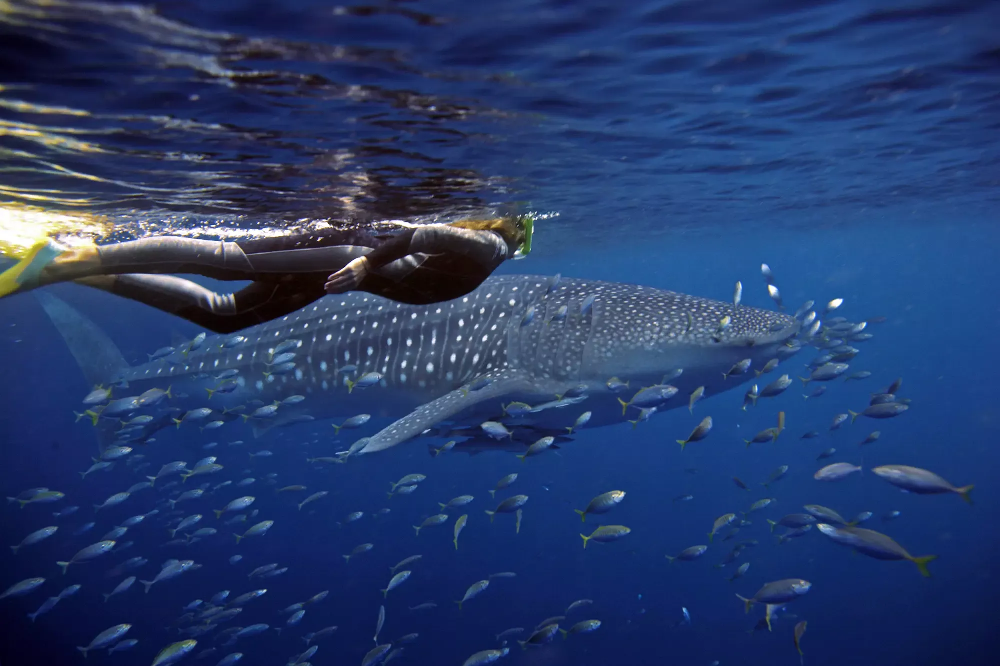 Perth to Exmouth 8-Day Tour