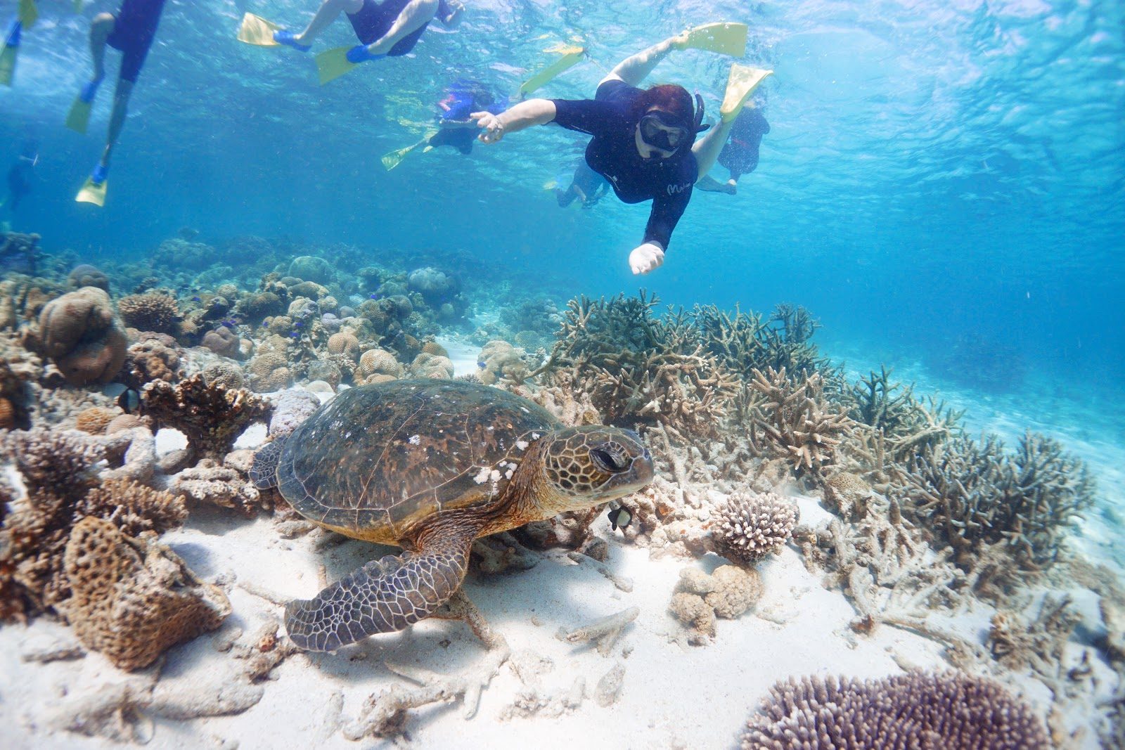 Perth to Exmouth 6-Day Tour