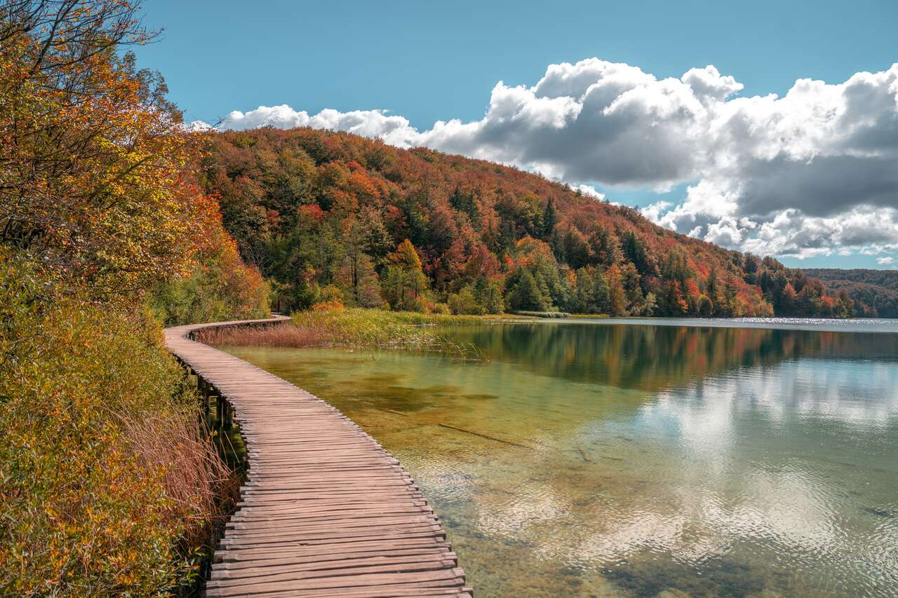 Prošćansko Lake Shoreline