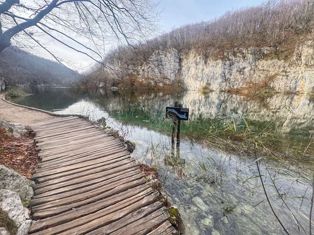 Milanovac Lake Footbridge