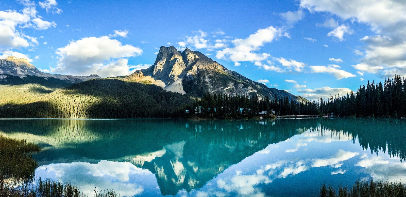 Emerald Lake Shoreline