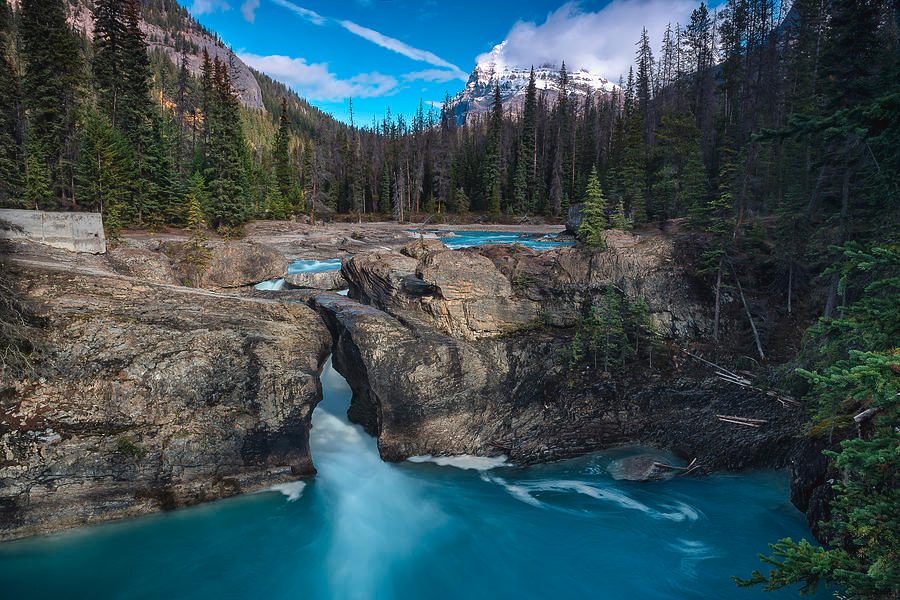 Yoho National Park Lookout