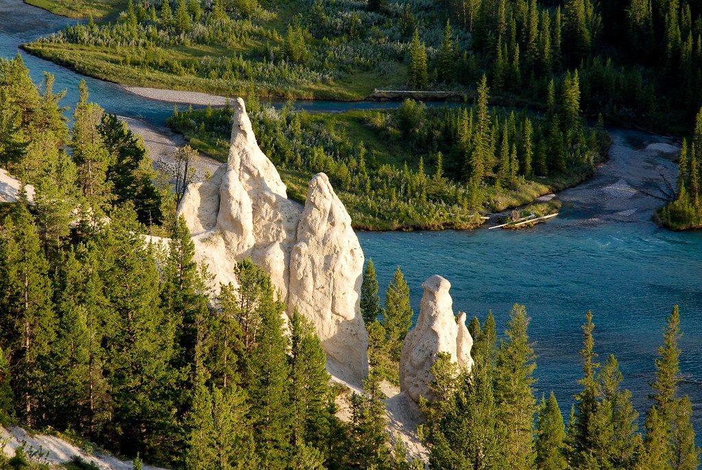 The Hoodoos