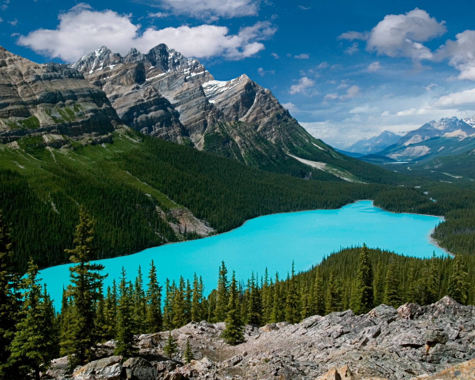 Peyto Lake Viewpoint