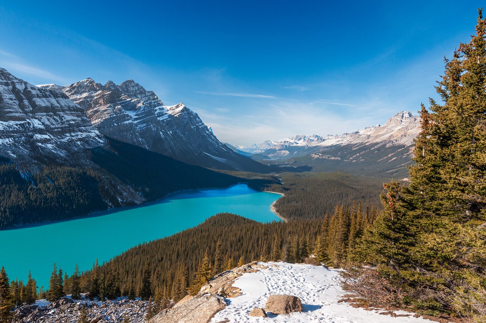 Peyto Lake