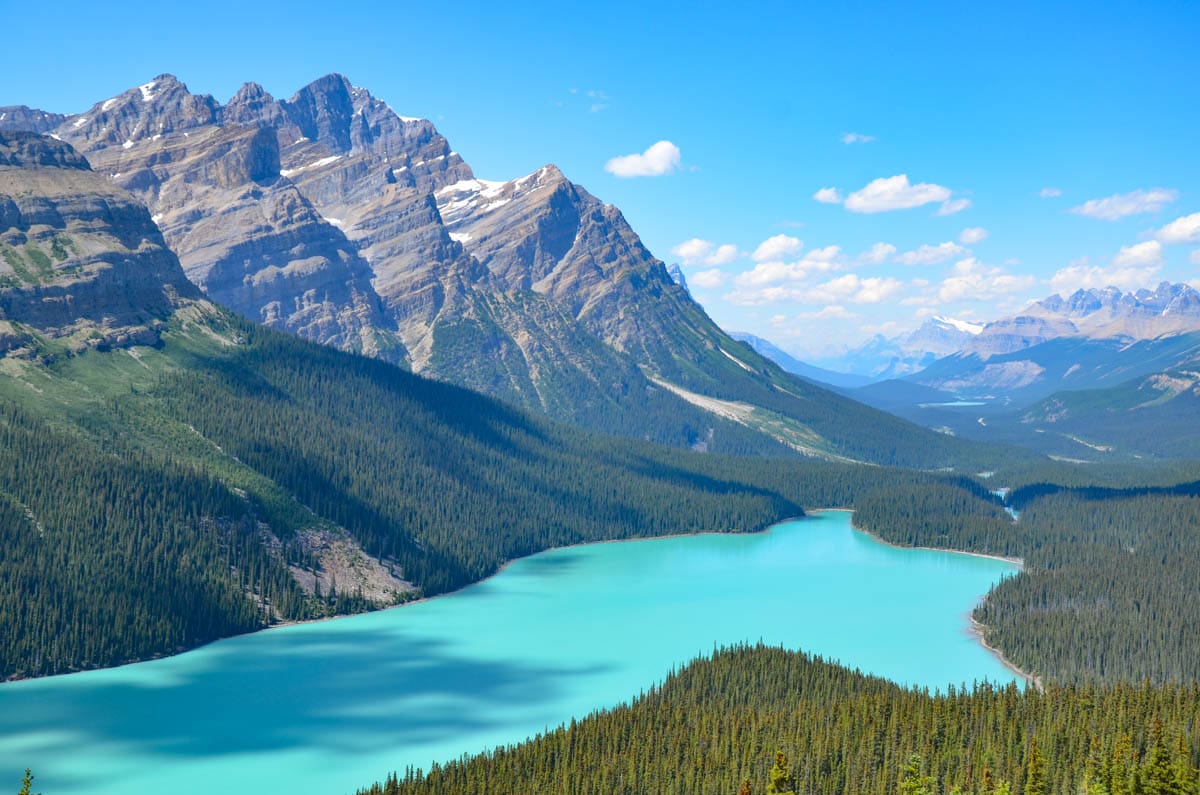 Peyto Lake Stop