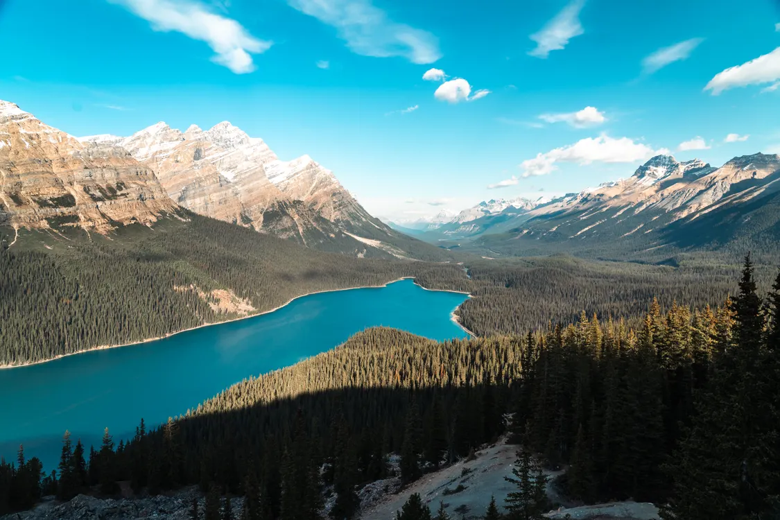 Peyto Lake