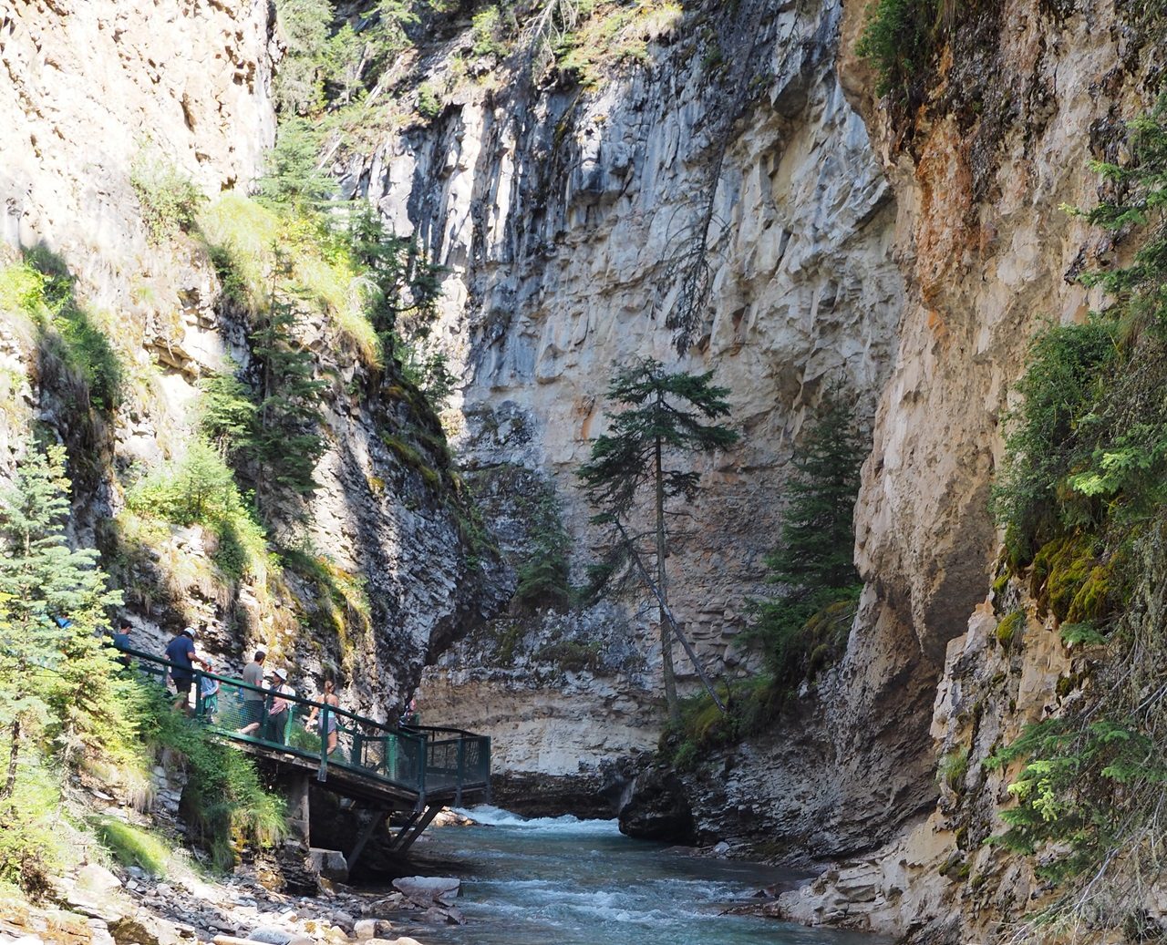 Johnston Creek