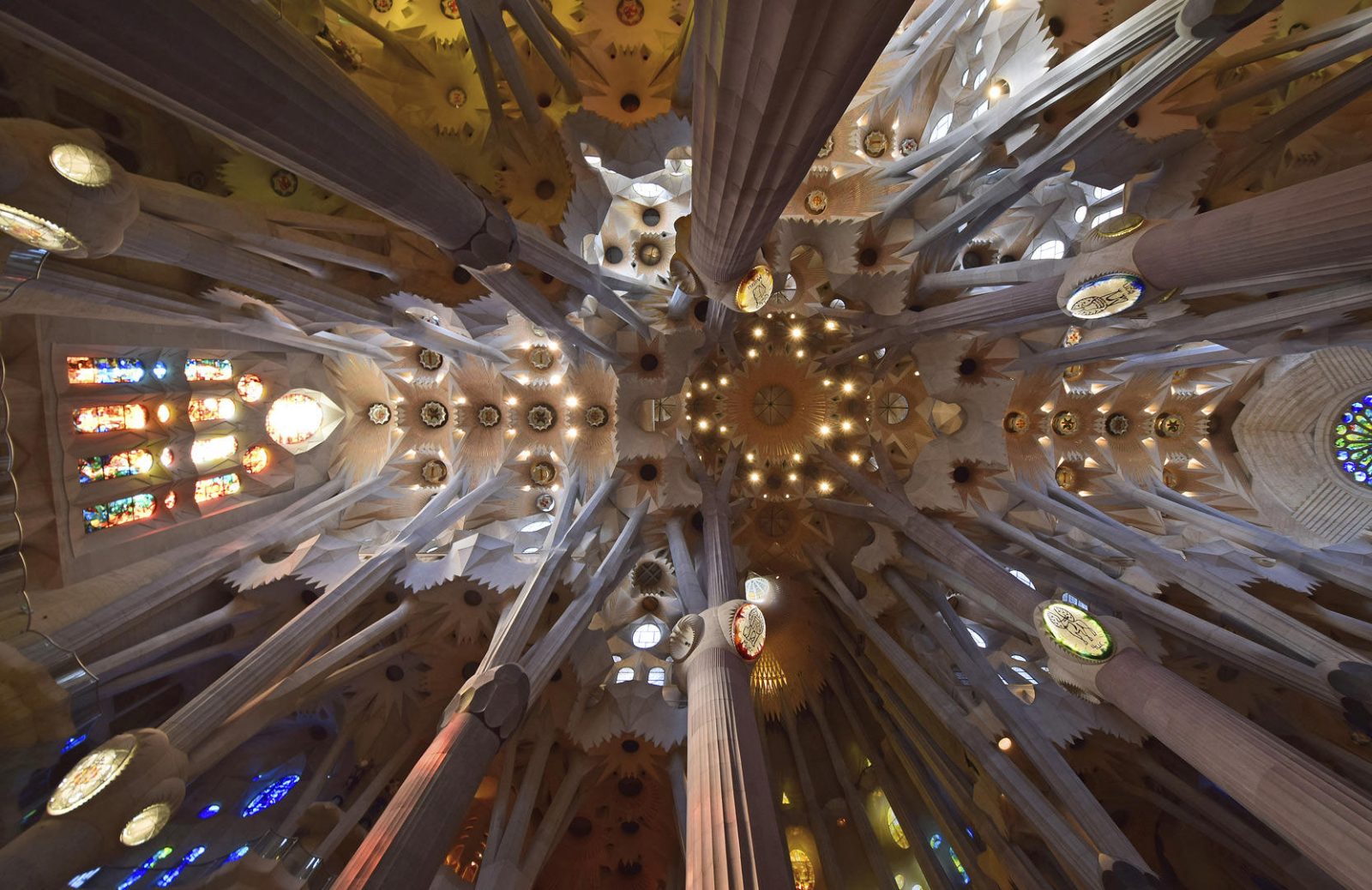 Nave Forest Columns