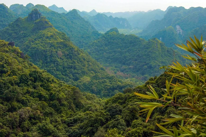 Cat Ba National Park