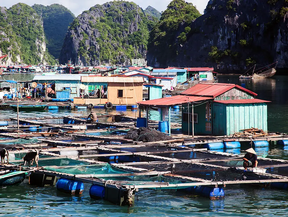 Cai Beo Floating Village