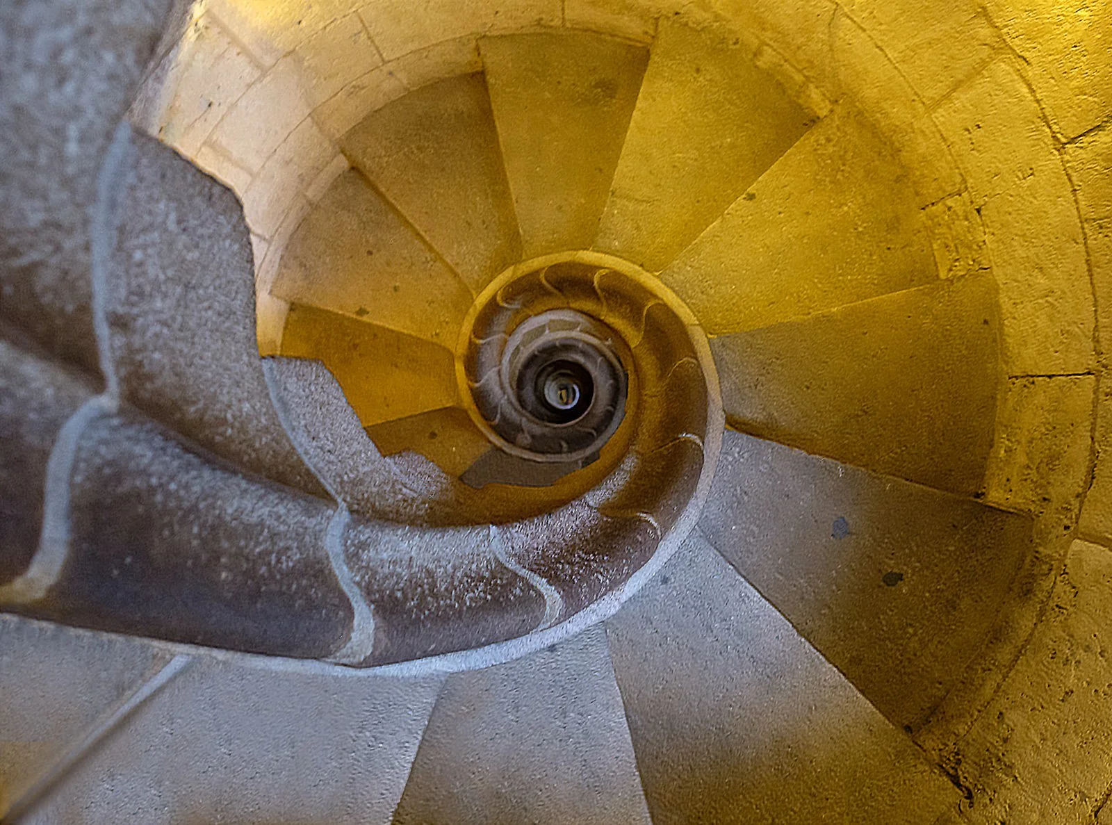 Sagrada Familia Private Tour With Tower