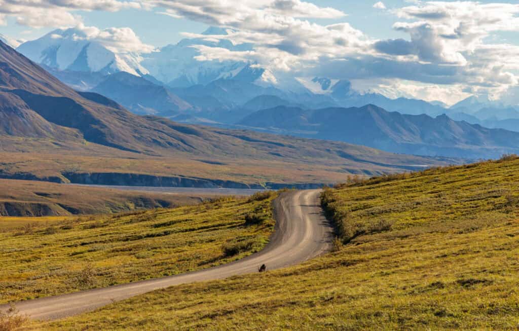 Denali Park Road