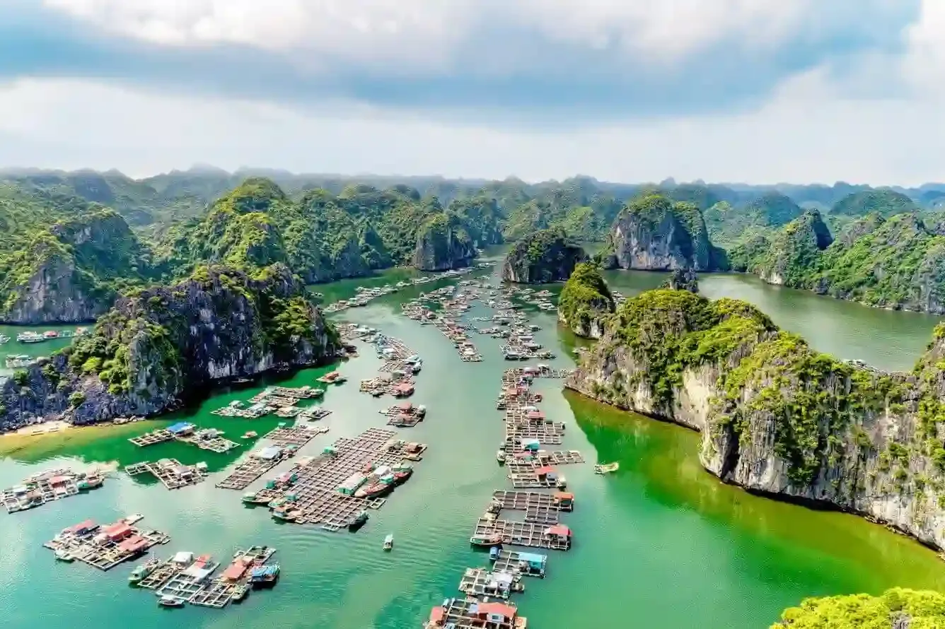 Beo Harbor