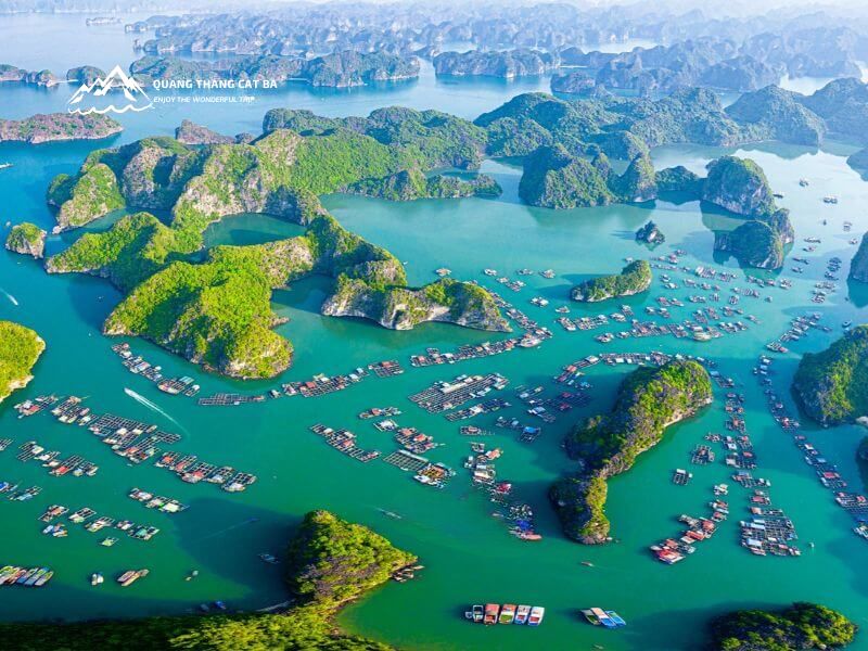 Cai Beo Floating Village