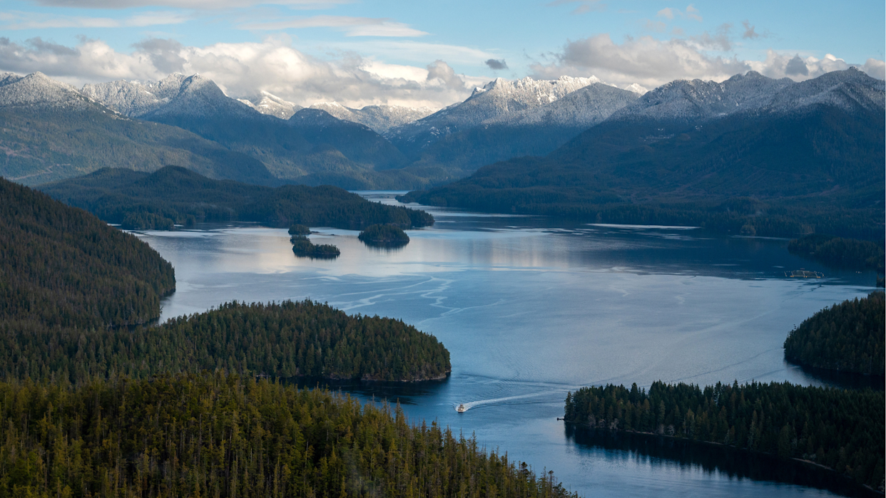 Tofino Hot Springs Cove Tour With Wildlife Cruise