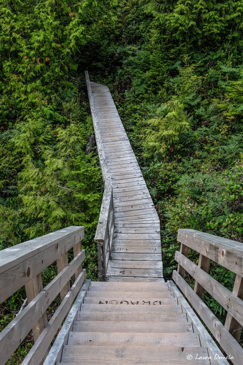 Coastal Boardwalk