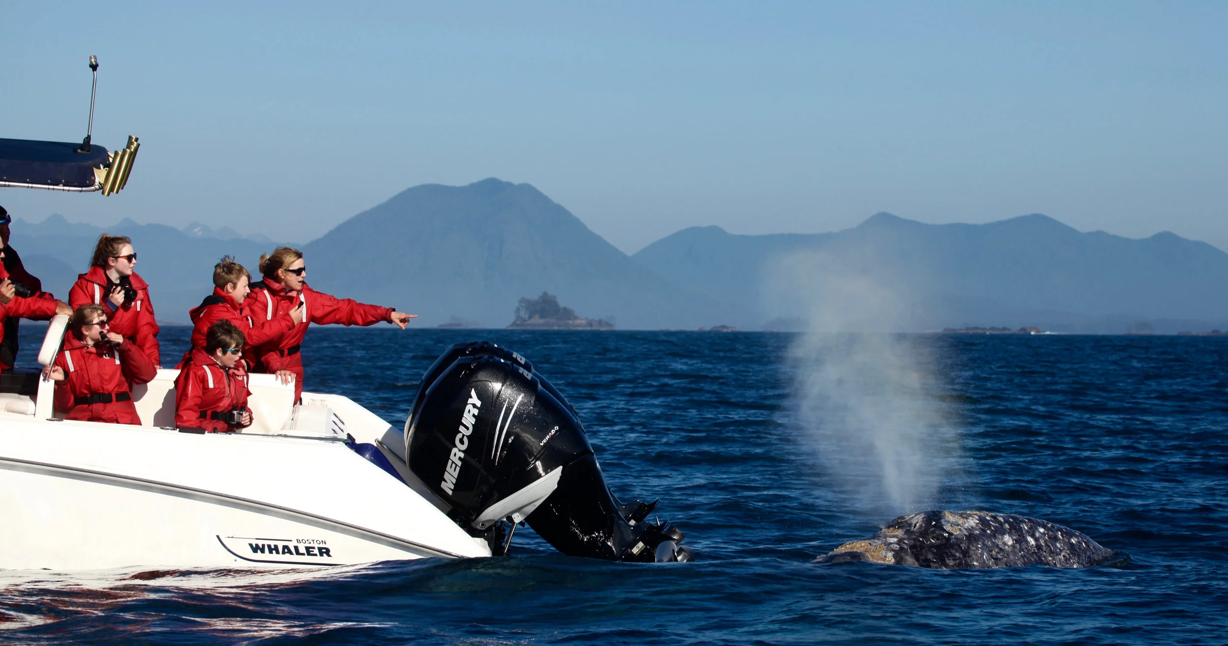 Whale Watching Routes