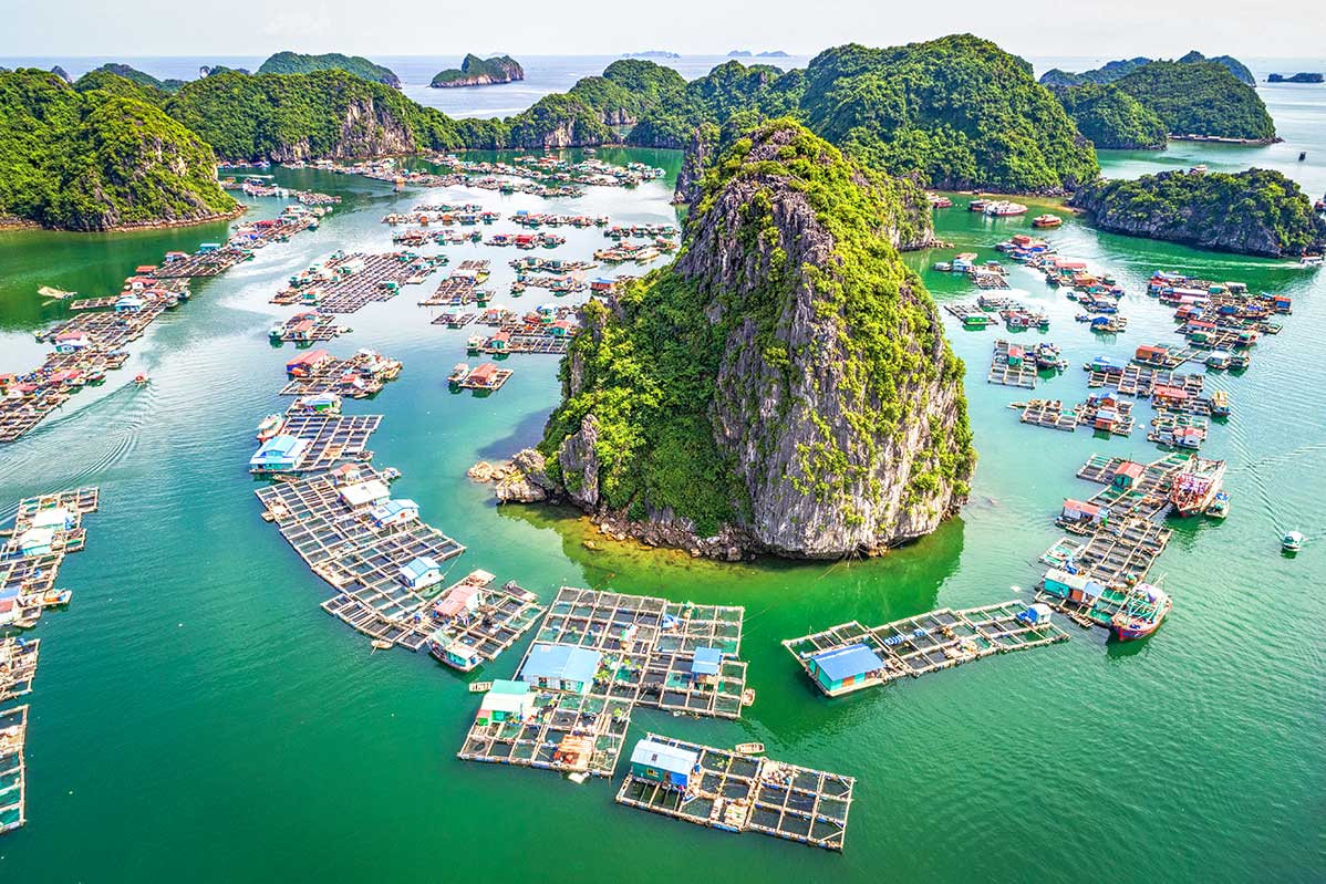 Cai Beo Floating Village
