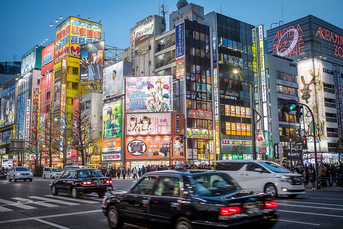 Chuo-dori Street Crossing