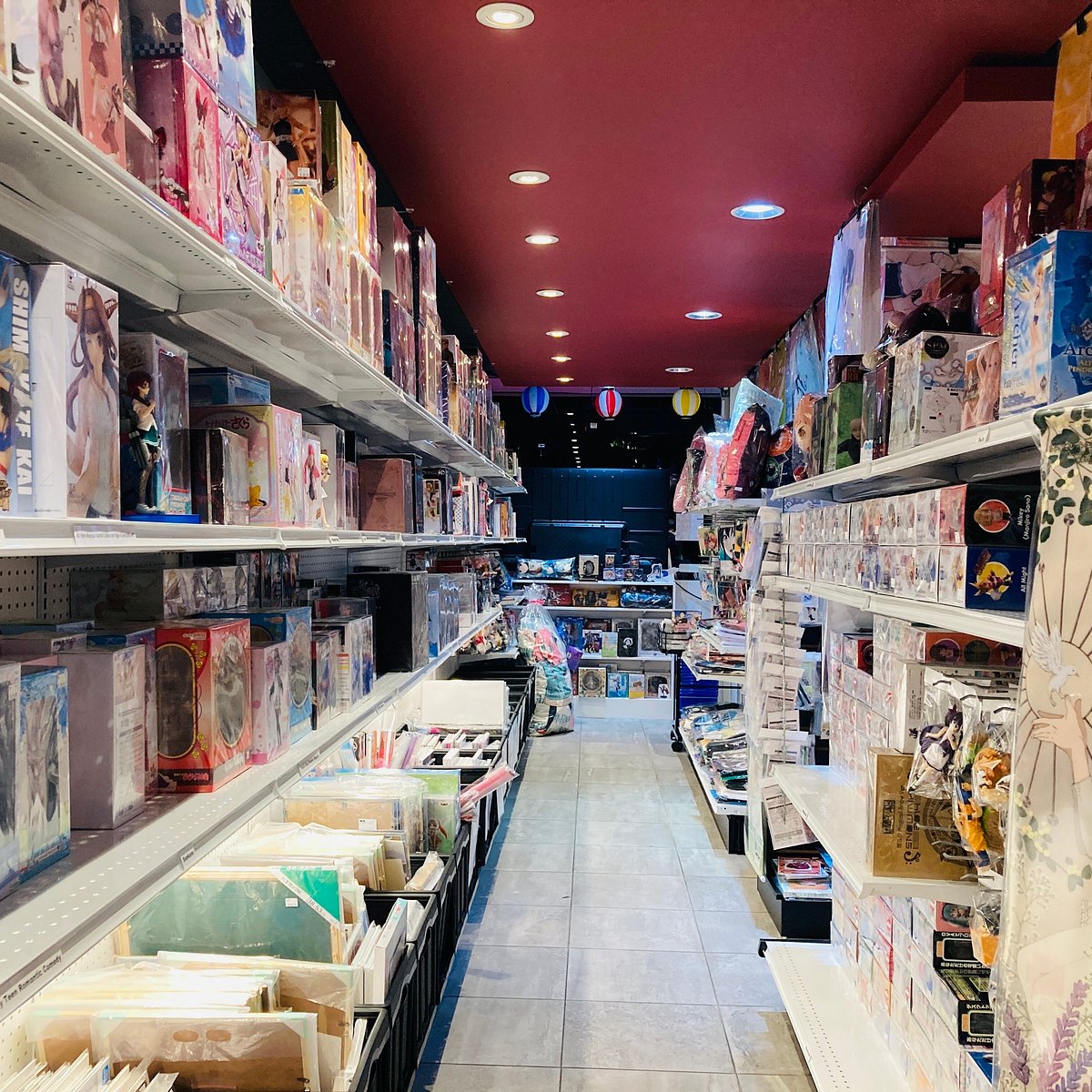 Anime Day Tour Tokyo