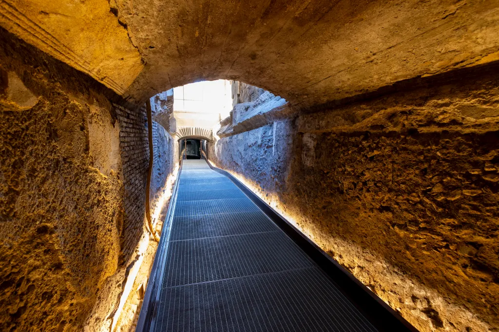 Colosseum Underground Tour Private