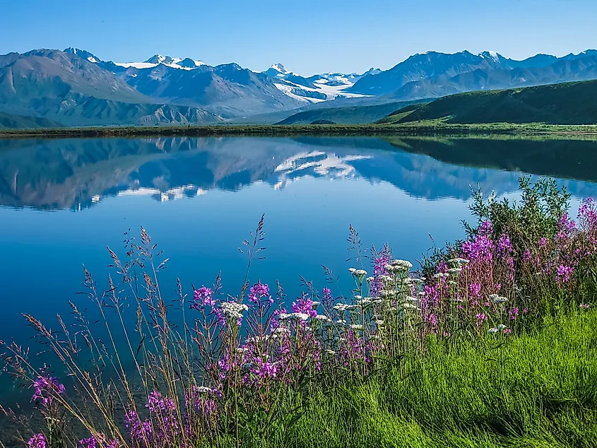Tanana Valley