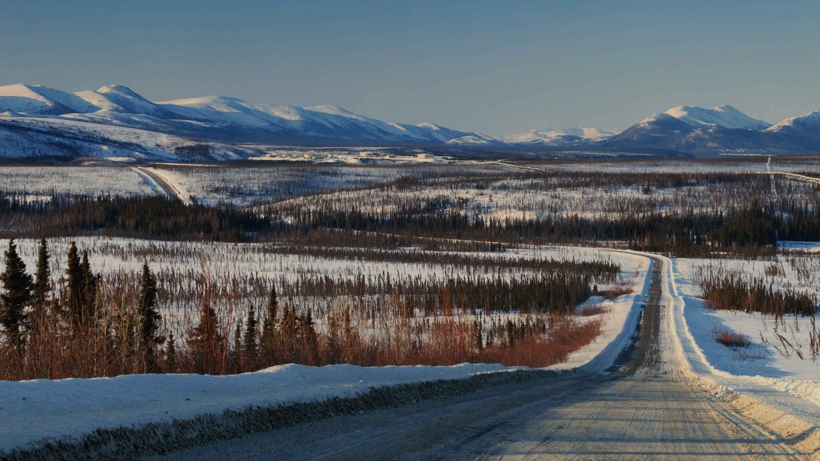Polar Light Horizon