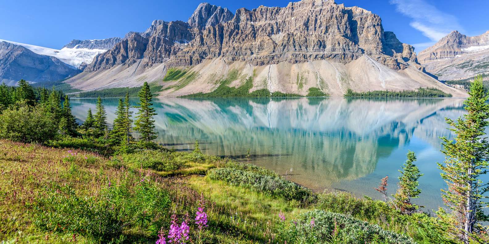 Bow Lake Shoreline