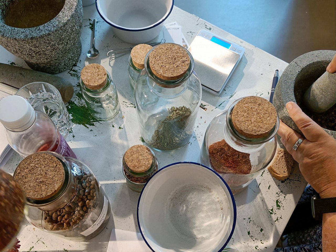 Interactive Spice Lab