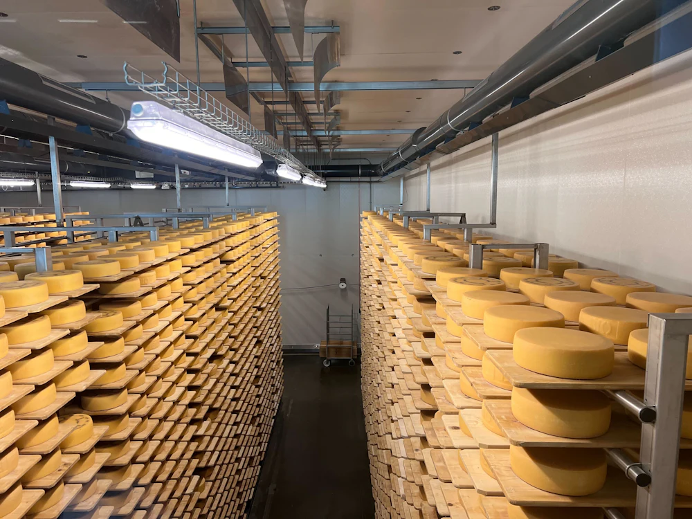 The Cheese Cellar