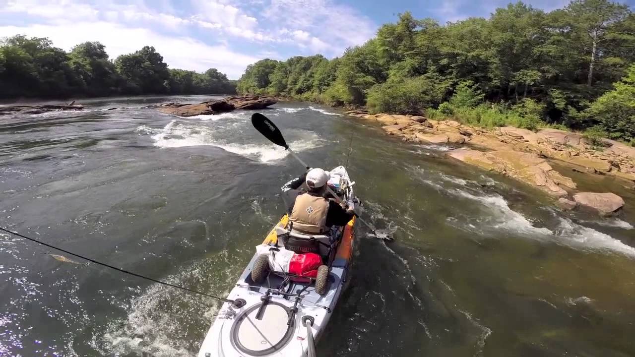 Your experience at Chattahoochee River Kayak Rental
