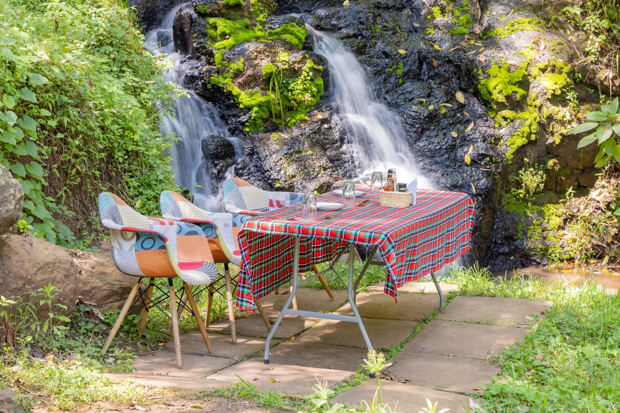 Picnic and Relax