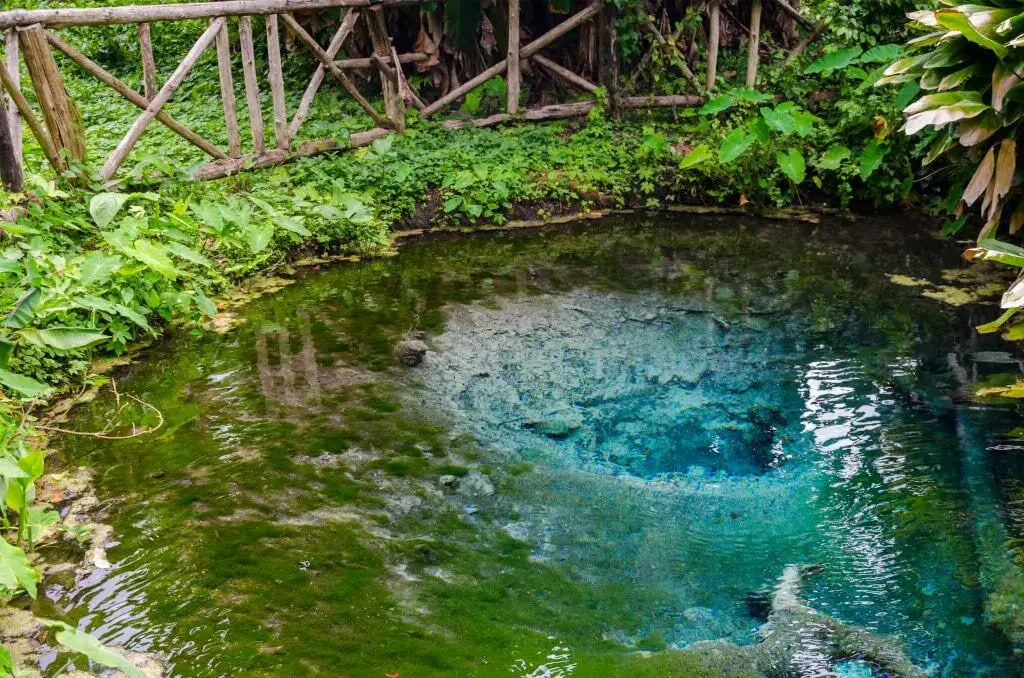 Nam Phu Chet Si