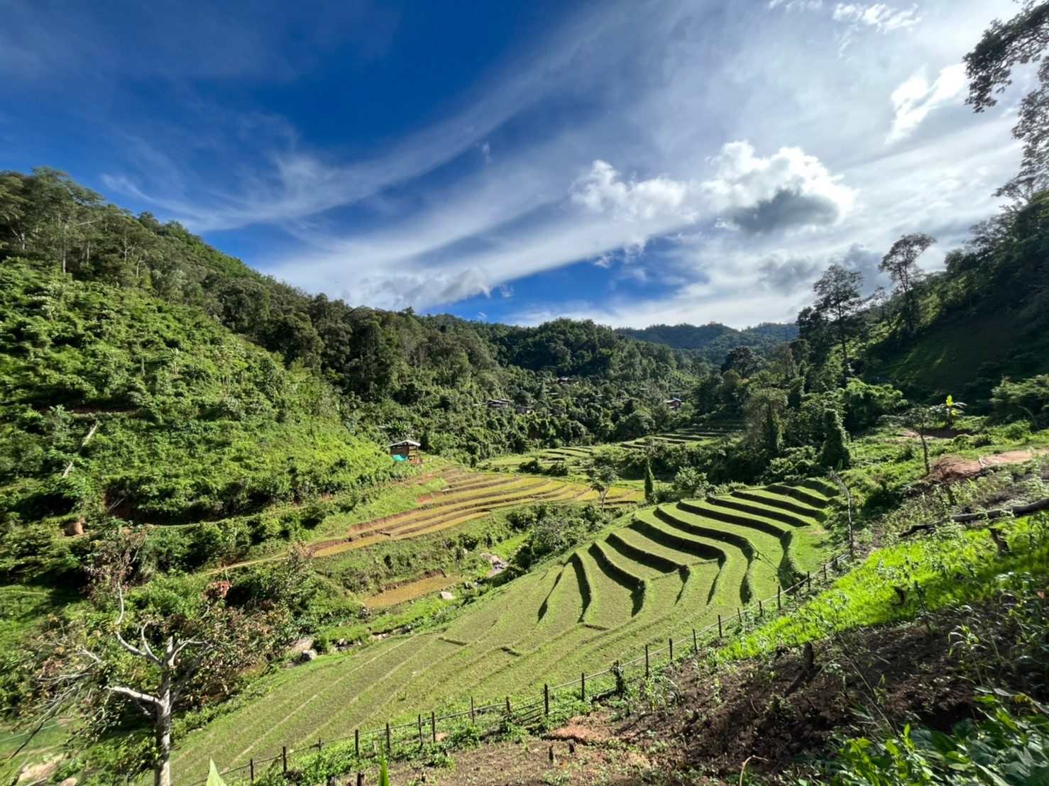 Mae Taeng District