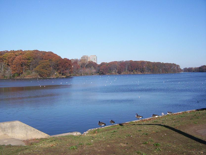 Weequahic Park