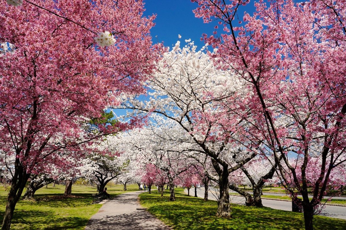 Branch Brook Park