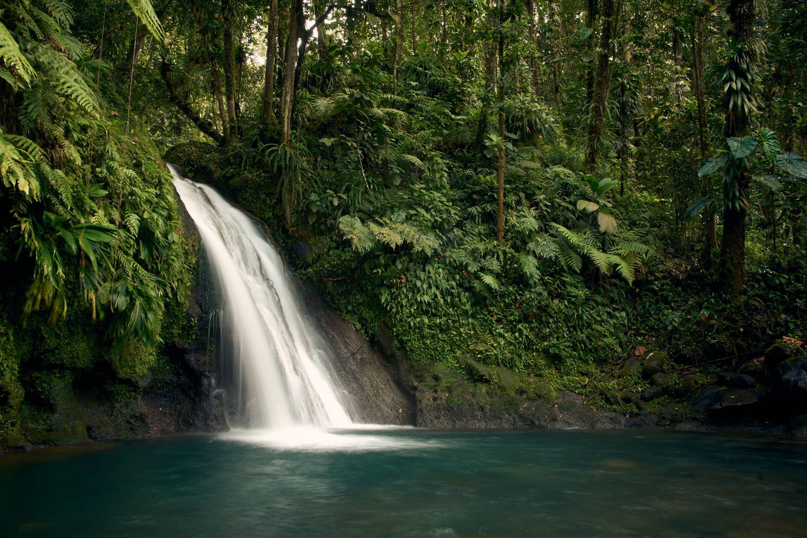 Canyoning Guadeloupe Adventures