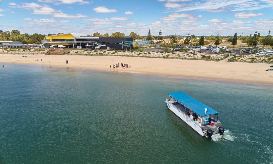 Your experience at Bunbury Dolphin Cruise